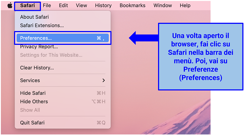 Uno screenshot delle Preferenze di Safari