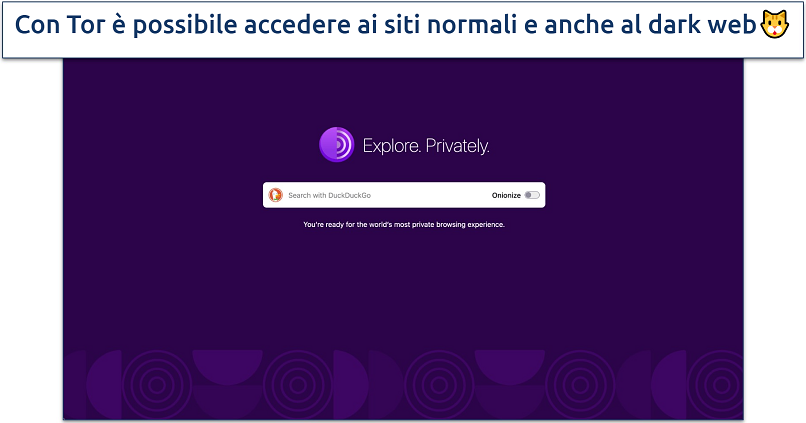 Screenshot of the Tor Browser homepage