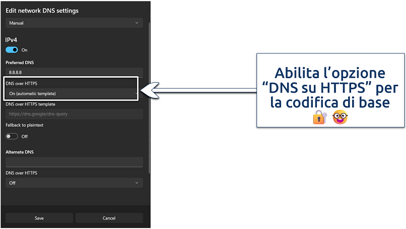 Screenshot of the custom DNS settings on Windows 11